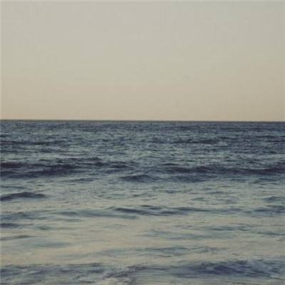 leyu·乐鱼(中国)体育官方网站